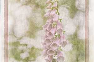 M_Beaufils_Gant de bergère1