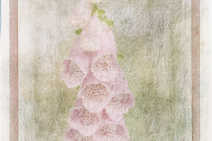 M_Beaufils_Gant de bergère2