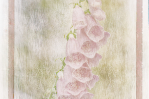 M_Beaufils_Gant de bergère4