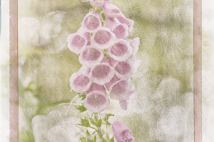 M_Beaufils_Gant de bergère6