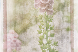 M_Beaufils_Gant de bergère7