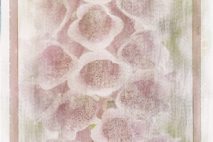 M_Beaufils_Gant de bergère8