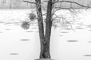 M_Beaufils_Lac blanc8