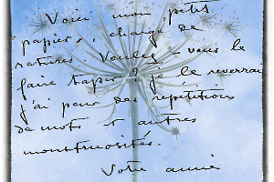 Y_Dumont_Poésie de l'écriture2