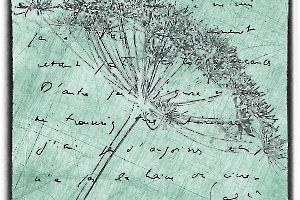 Y_Dumont_Poésie de l'écriture6