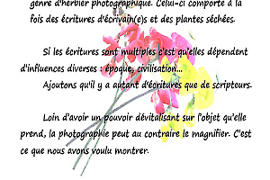 Y_Dumont_Poésie de l'écriture9