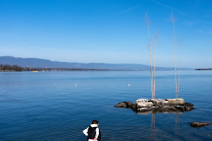 Bain du premier janvier