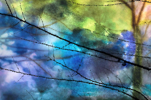 En attendant le printemps