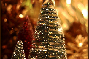 illumination enchantée