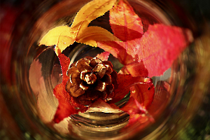 Inspiration d'automne