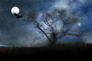 La lune et le corbeau