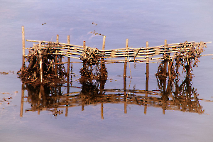 2023 Regional ip couleur