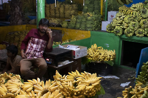 pour tous les goûts