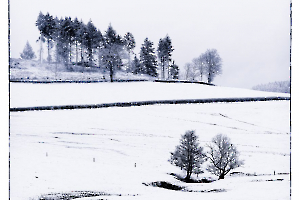 2023 Regional IP monochrome