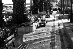 2023 Regional IP monochrome