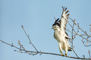 Prêt pour le départ