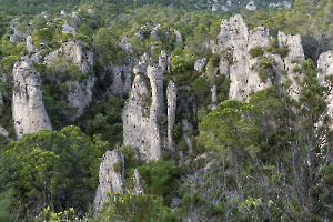 Végétal et minéral