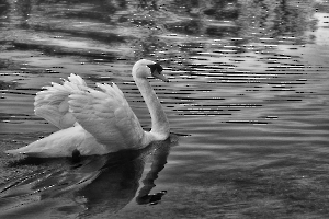 Glissade silencieuse