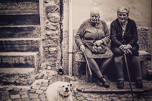 2023 Regional papier moochrome