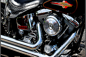 beau-a-01_48422219081_o