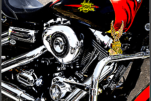 beau-a-02_48422213991_o