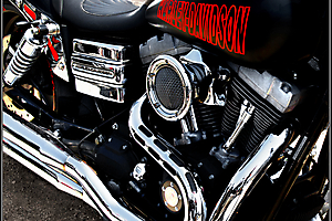 beau-a-03_48422360232_o