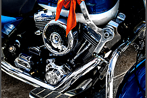 beau-a-05_48422200651_o