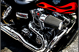 beau-a-06_48422346542_o