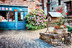 bertocci-v-04_48422376922_o