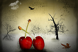 dumont-y-01_48422253301_o