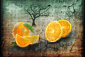 dumont-y-03_48422247836_o