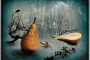 dumont-y-04_48422255326_o