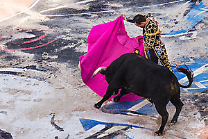 fiault-a-03_48422398302_o