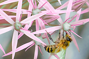 gauthier-a-02_48422461842_o