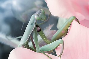 gauthier-a-03_48422308671_o