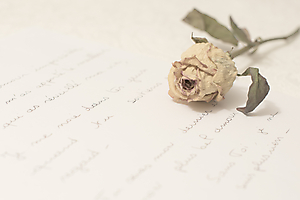 guinot-e-03_48422321711_o