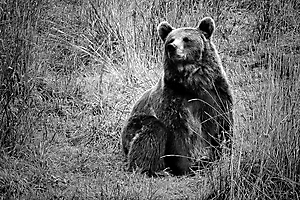 labonde-am-02_48422622192_o