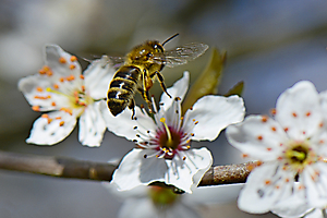 le-ray-p-01_48422904142_o