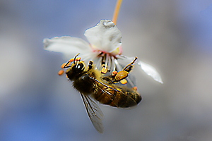 le-ray-p-03_48422907277_o