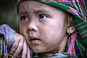 martinet-t-01_48422779502_o