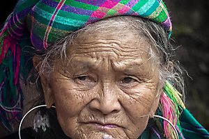 martinet-t-04_48422785937_o