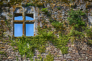 noiziller-p-02_48422724927_o