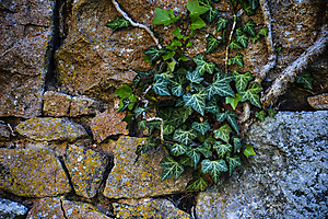 noiziller-p-03_48422709392_o