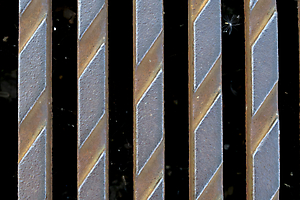 pardo-miller-m-01-1423_48422688972_o