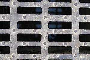 pardo-miller-m-02_48422536046_o