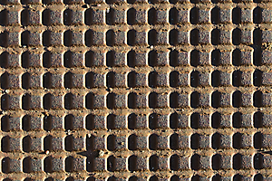 pardo-miller-m-04_48422529051_o