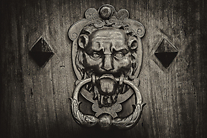 rorhfuss-g-02_48422515806_o