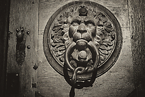 rothfuss-g-01_50983160567_o