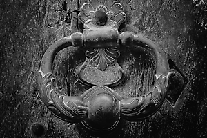 rothfuss-g-03_50982352443_o