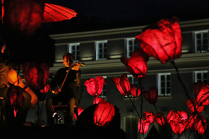 06-la-danse-des-coquelicots_49153696691_o